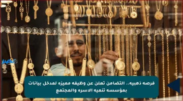 فرصة ذهبية.. التضامن تعلن عن وظيفة مميزة لمدخل بيانات بمؤسسة تنمية الأسرة والمجتمع